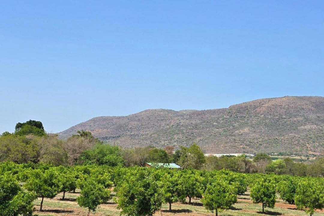 Photo of Others in Lydenburg