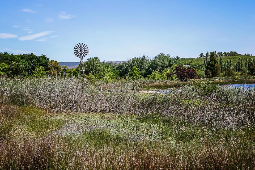 Photo of Others in Grabouw