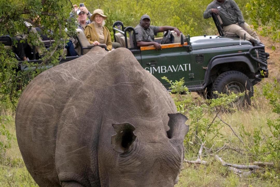Photo of Others in Thorny Bush Game Reserve