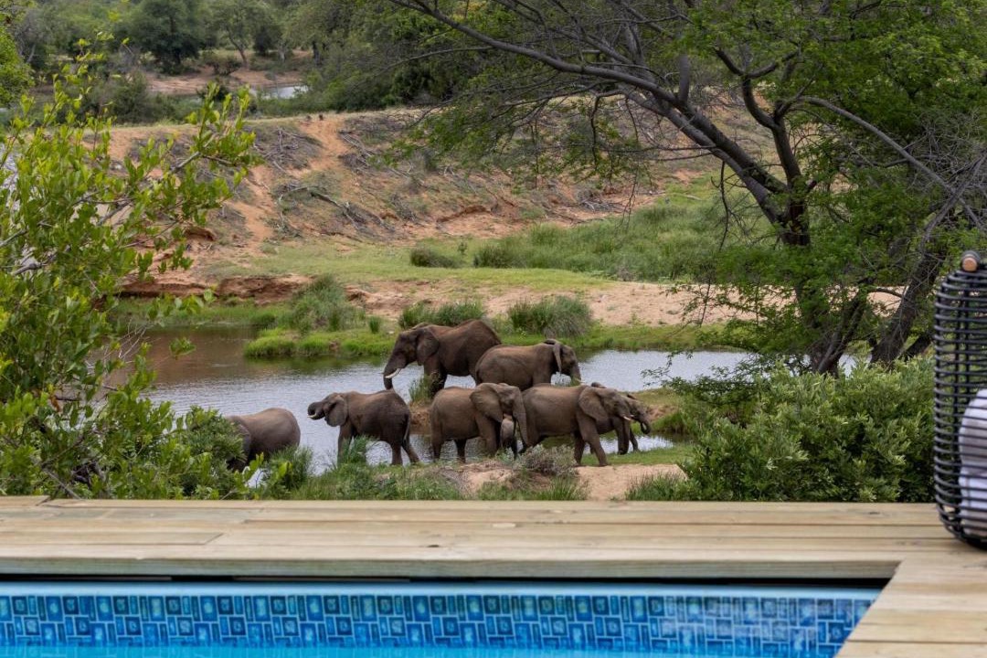 Photo of Others in Thorny Bush Game Reserve