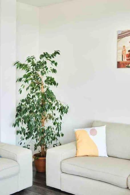 Photo of Livingroom in Kabatas