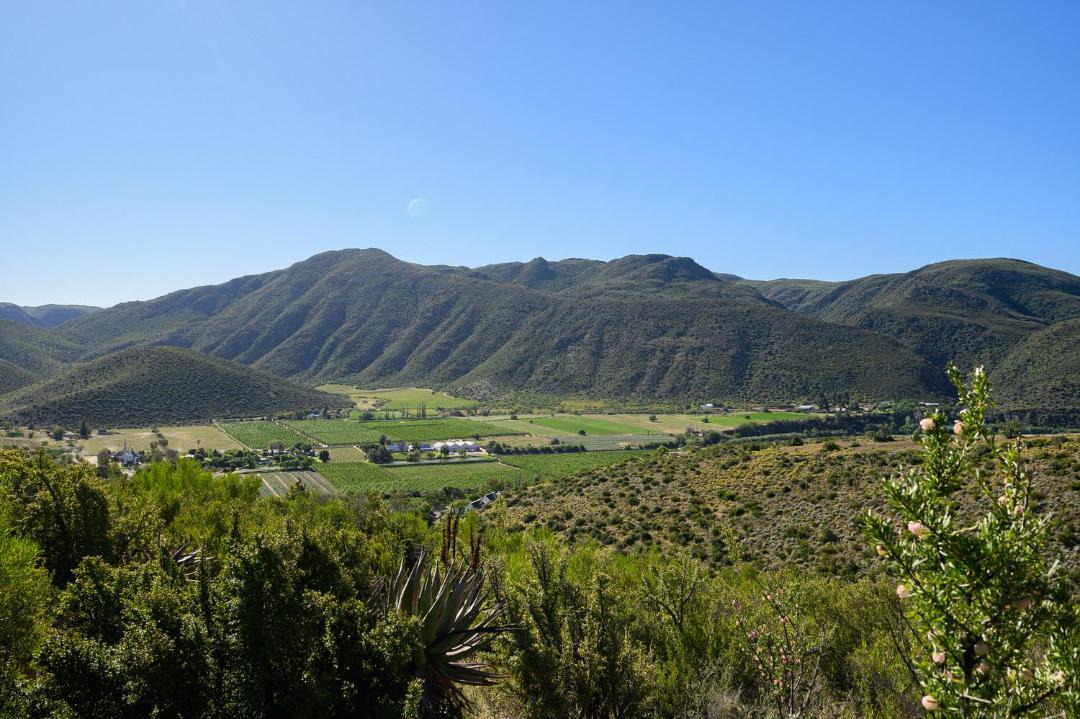 Photo of Others in Schoemanshoek