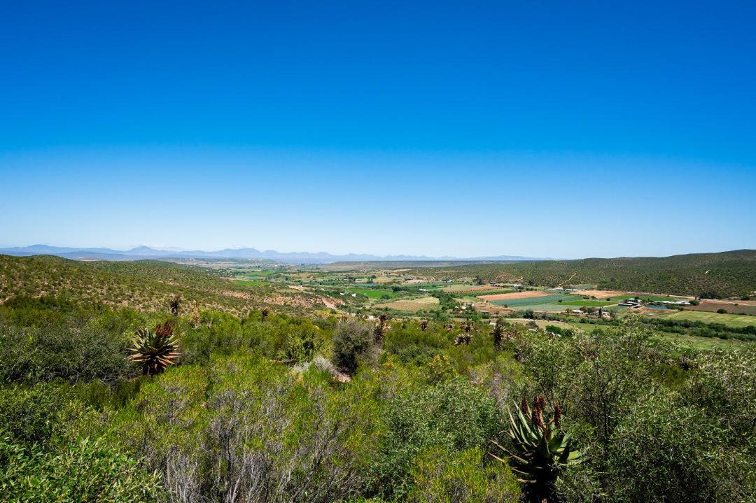 Photo of Others in Schoemanshoek