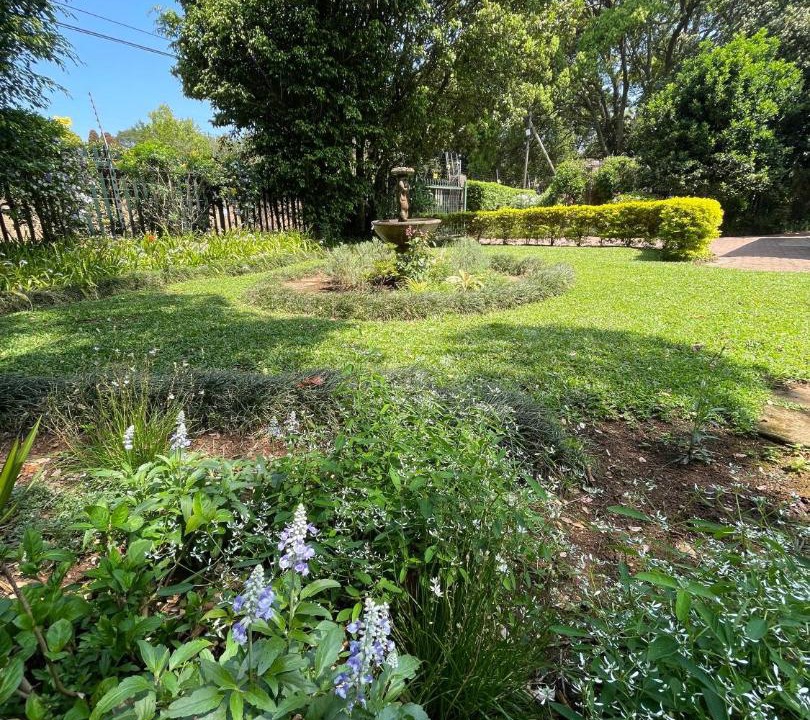 Photo of Outdoor in Hillcrest