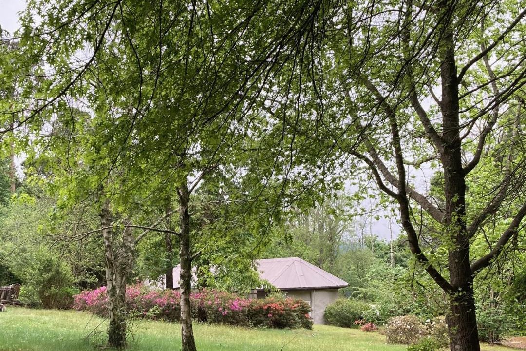 Photo of Outdoor in Hogsback