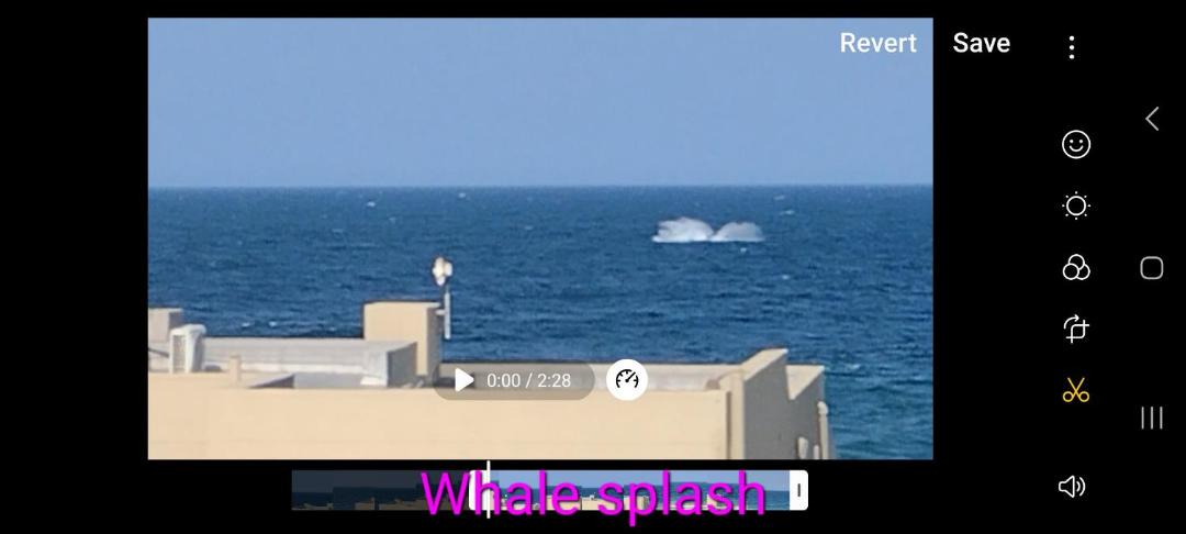 Photo of Others in Ballito