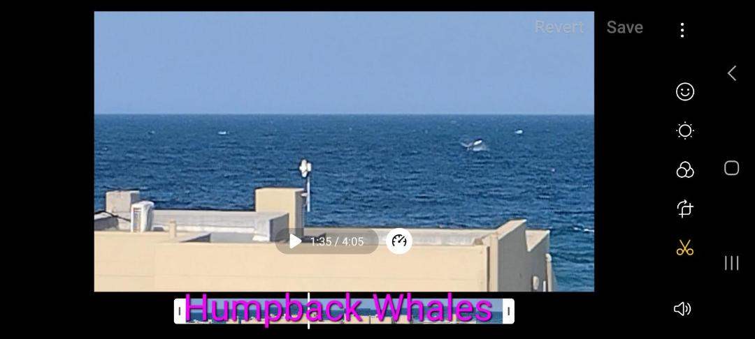 Photo of Others in Ballito