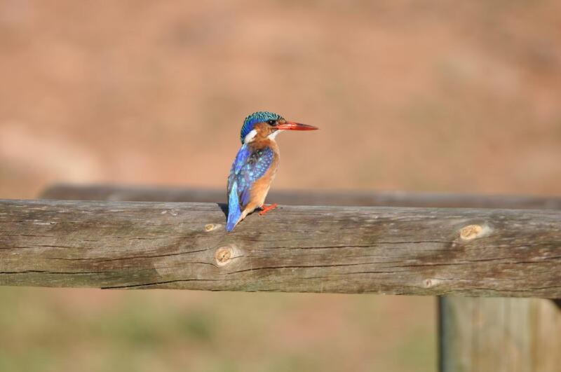 Photo of Others in Van Wyksdorp