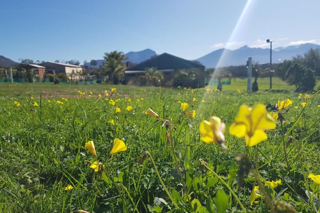 Photo of Outdoor in Tulbagh