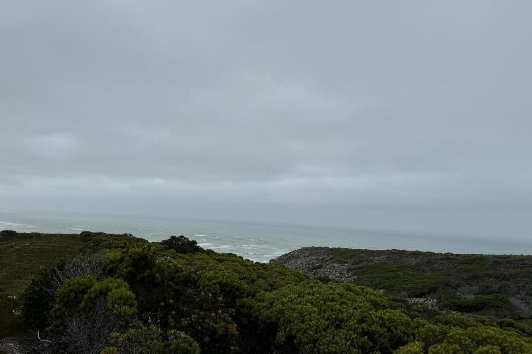 Photo of Others in L'Agulhas