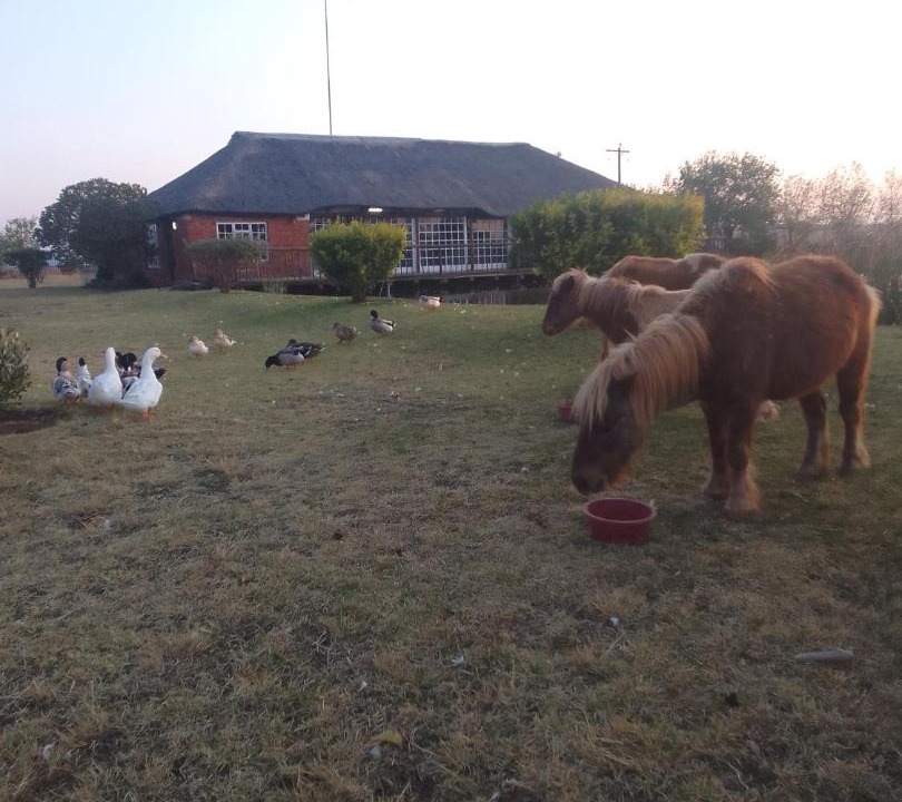 Photo of Others in Magaliesberg
