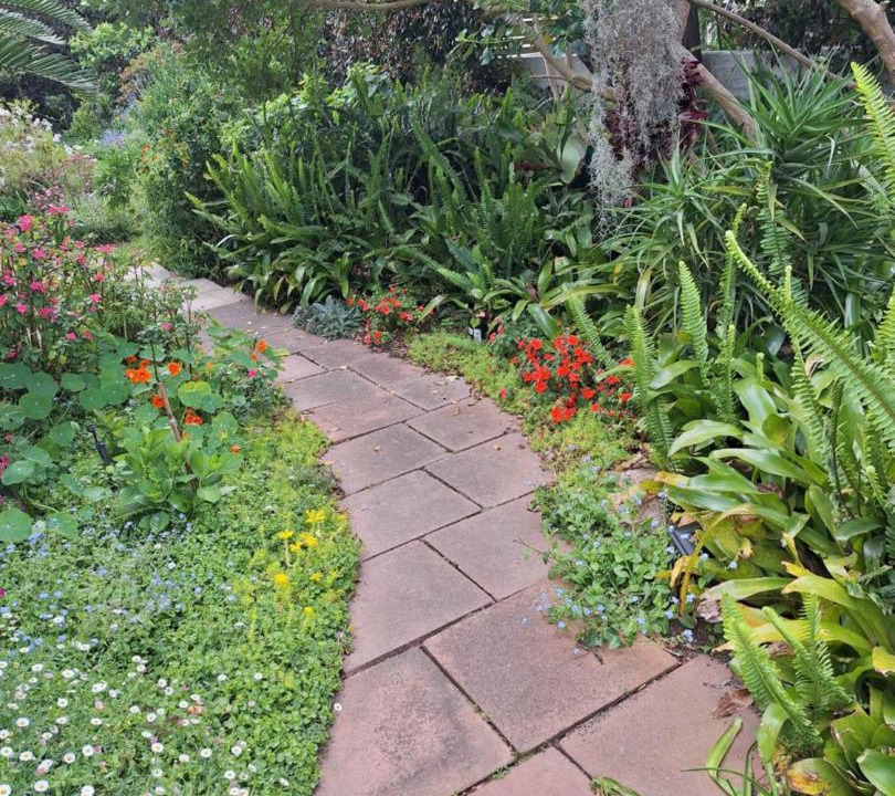 Photo of Outdoor in Bredasdorp