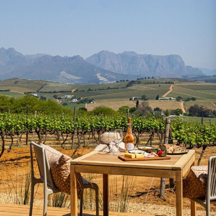 Photo of Others in Stellenbosch