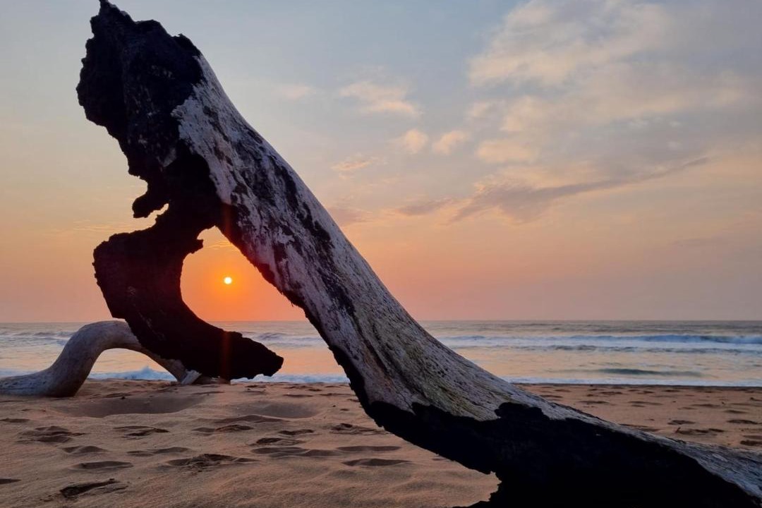 Photo of Human In Picture in Zinkwazi Beach