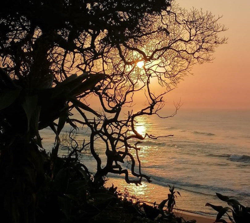 Photo of Others in Zinkwazi Beach