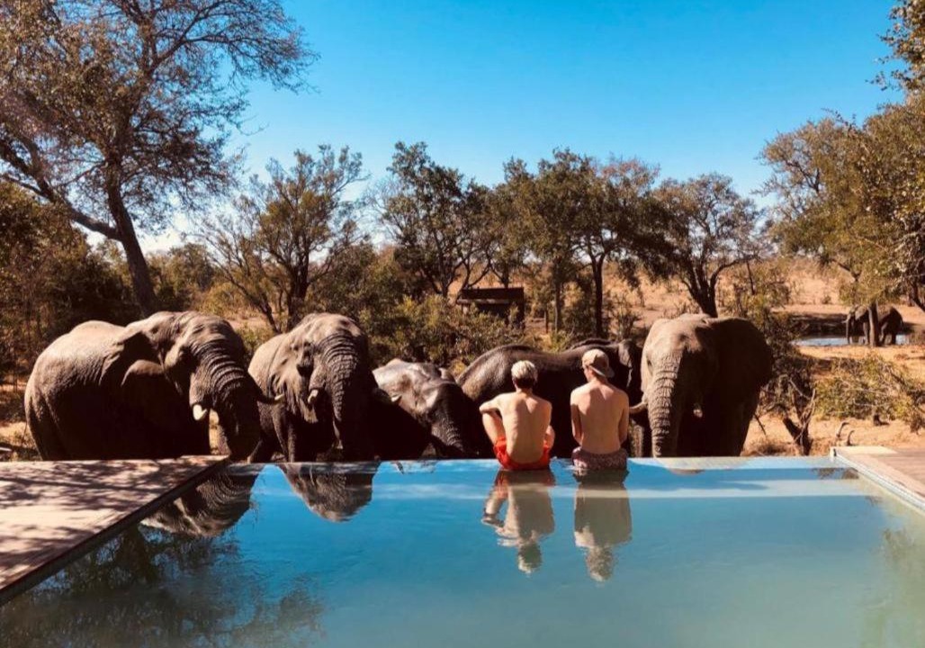 Photo of Others in Thorny Bush Game Reserve