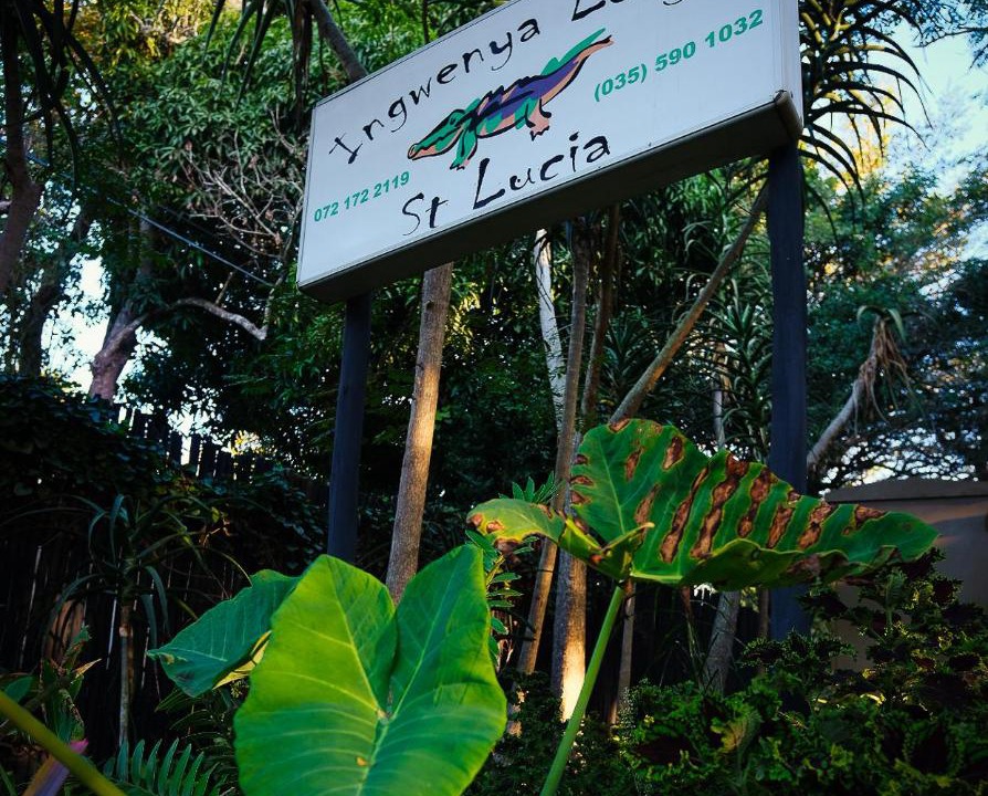 Photo of Others in St. Lucia