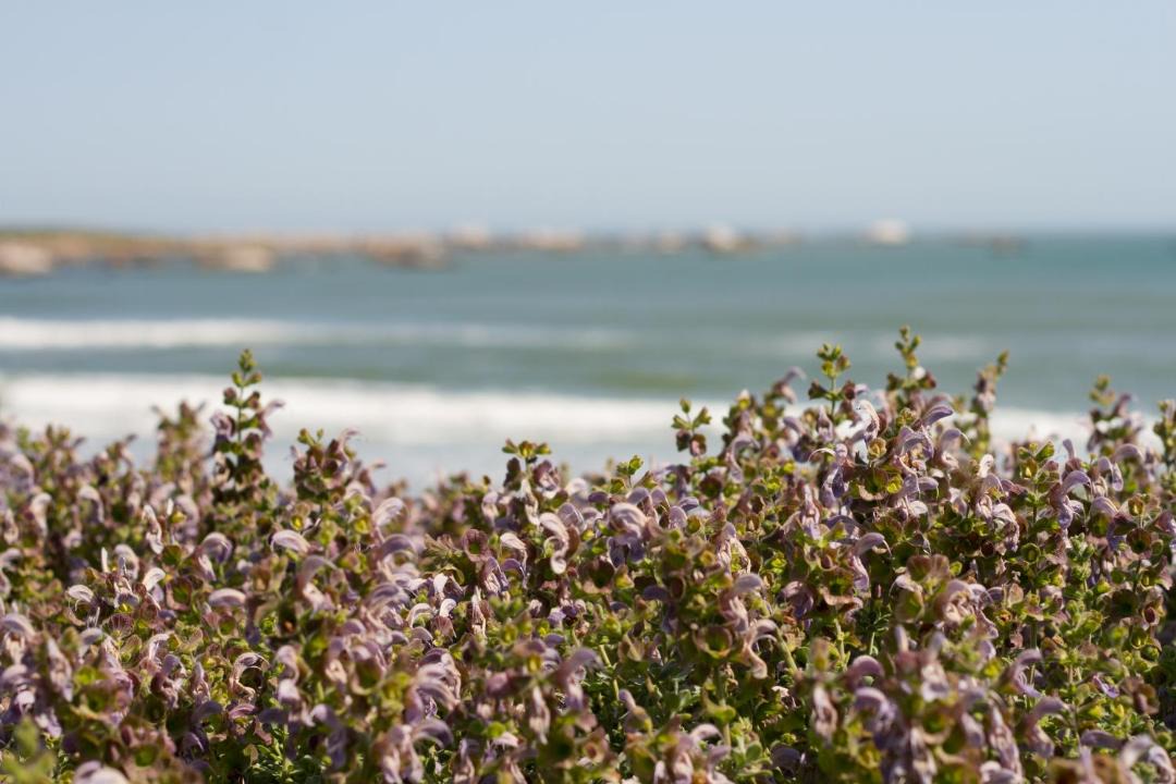 Photo of Others in Paternoster