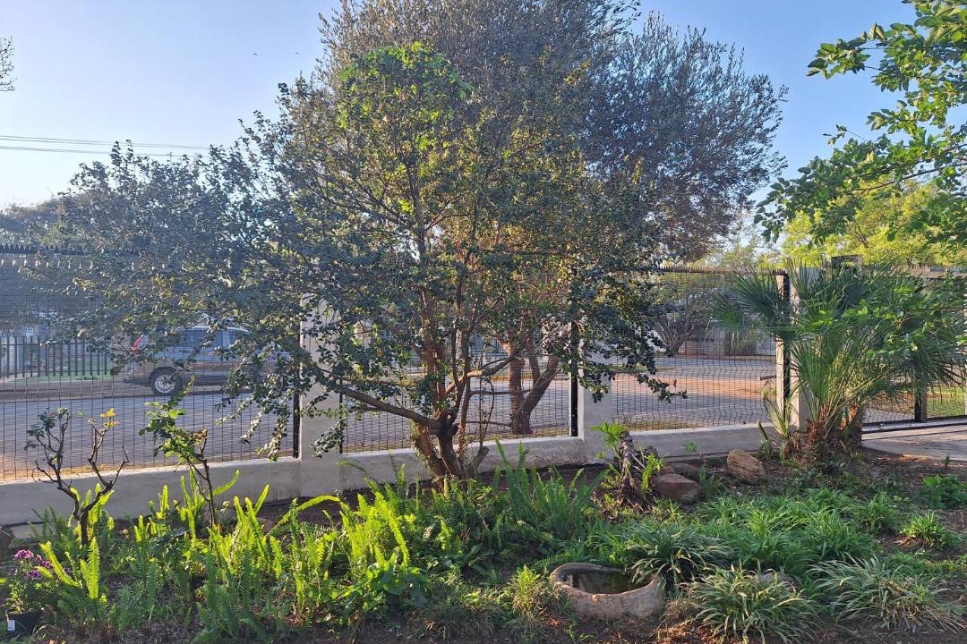 Photo of Outdoor in Parys
