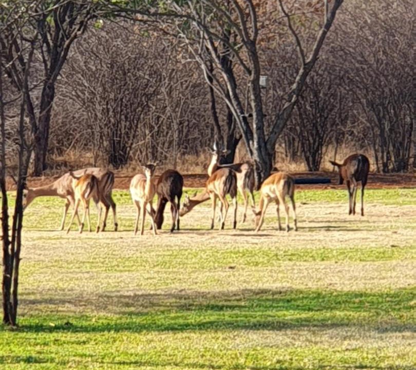 Photo of Others in Rustenburg