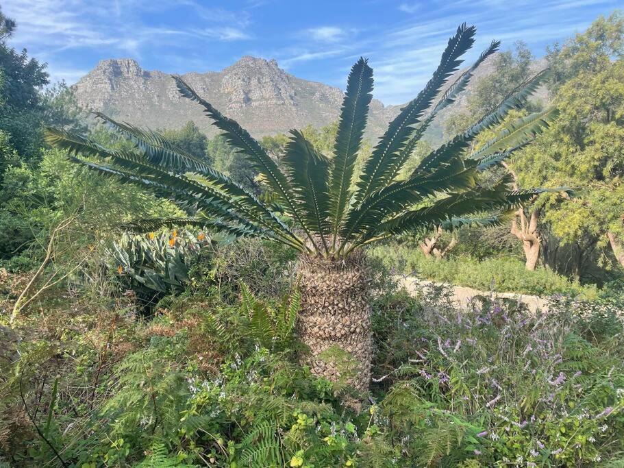 Photo of Outdoor in Hout Bay