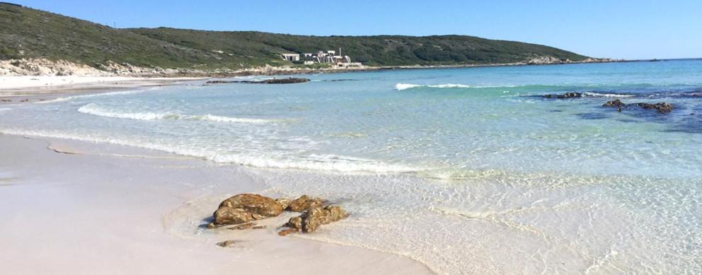 Photo of Others in Gansbaai