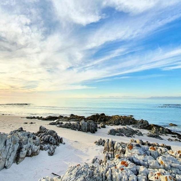 Photo of Others in Gansbaai