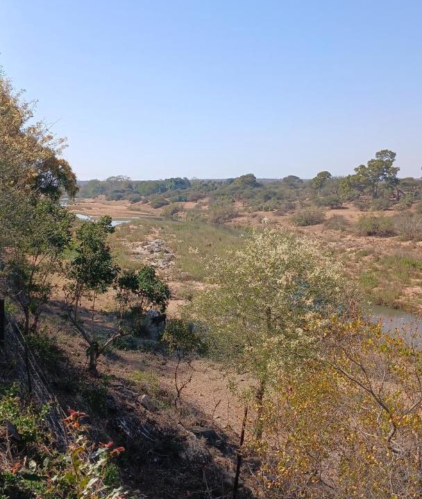 Photo of Others in Phalaborwa