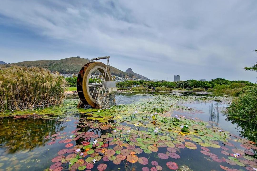 Photo of Others in Green Point