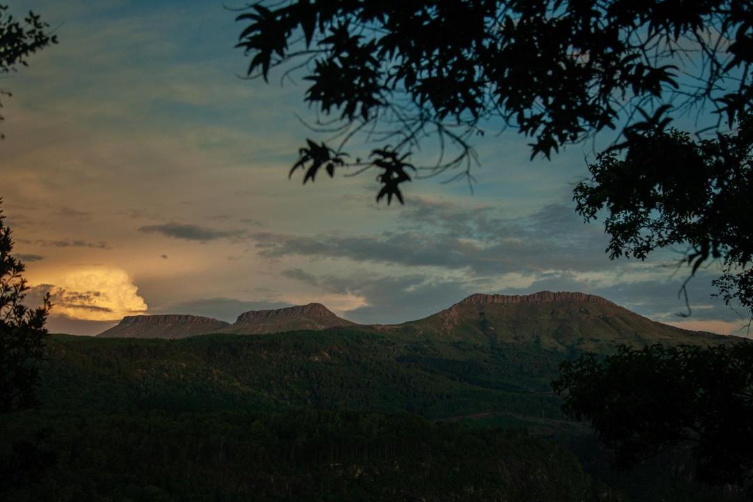 Photo of Others in Hogsback