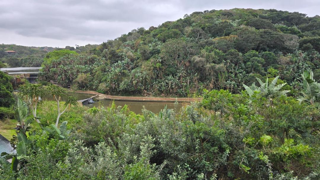 Photo of Others in Zimbali Coastal Estate