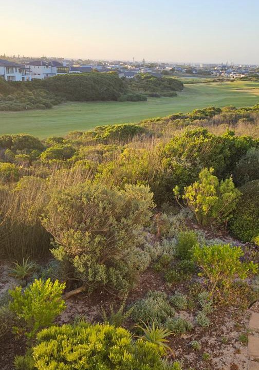 Photo of Others in Melkbosstrand