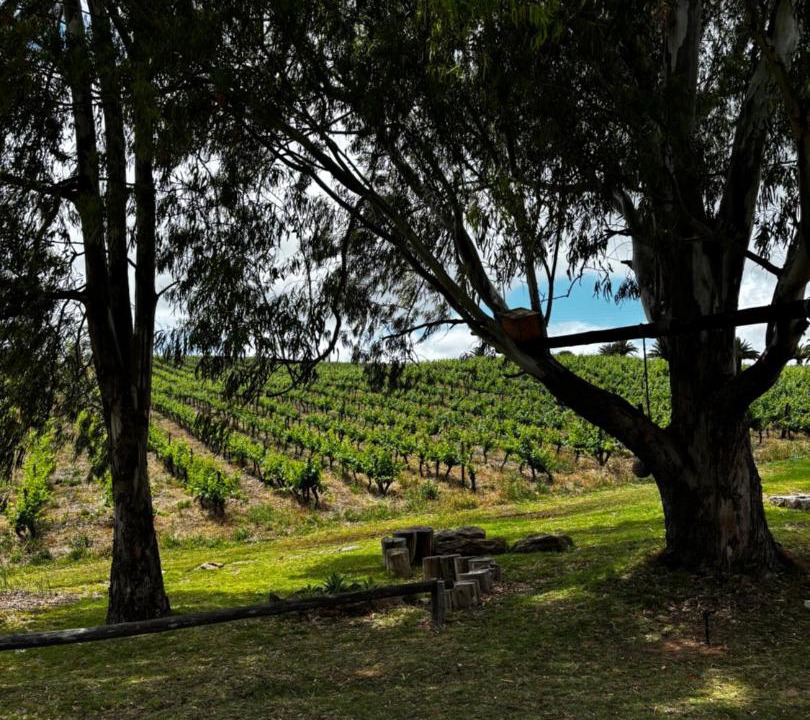 Photo of Others in Bonnievale