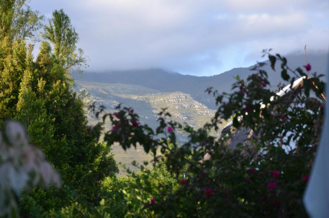 Photo of Others in Greyton