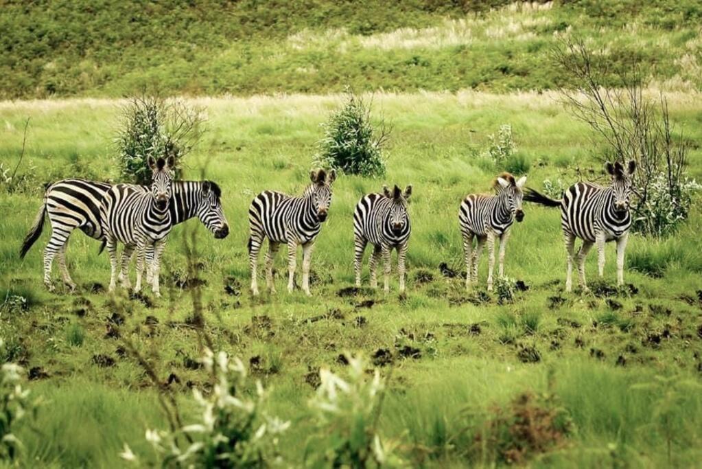 Photo of Others in Cathkin Park