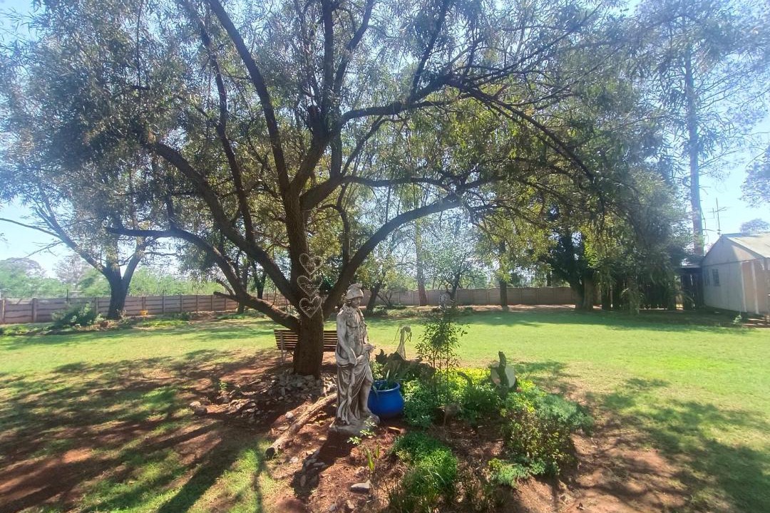 Photo of Others in Springs
