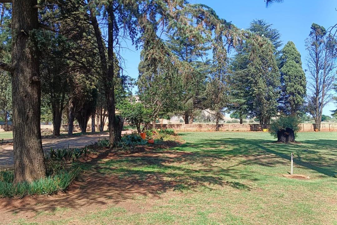 Photo of Others in Springs