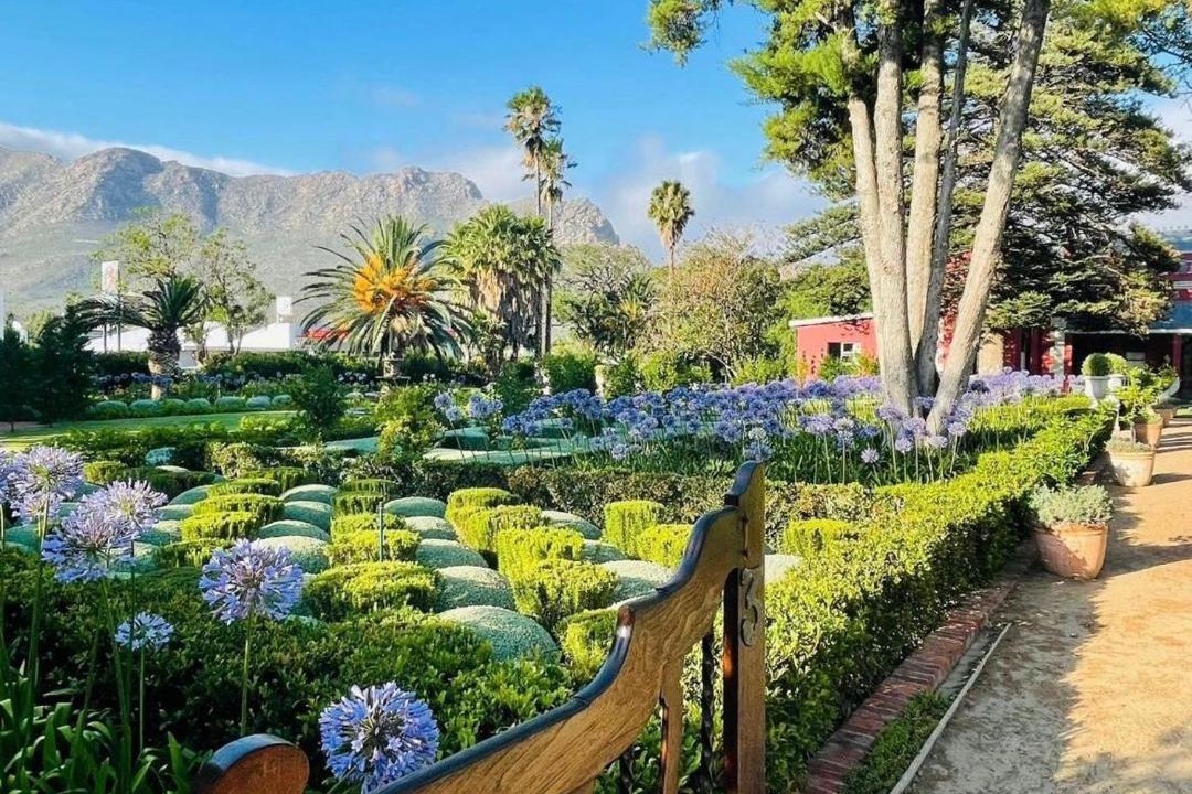 Photo of Others in Montagu
