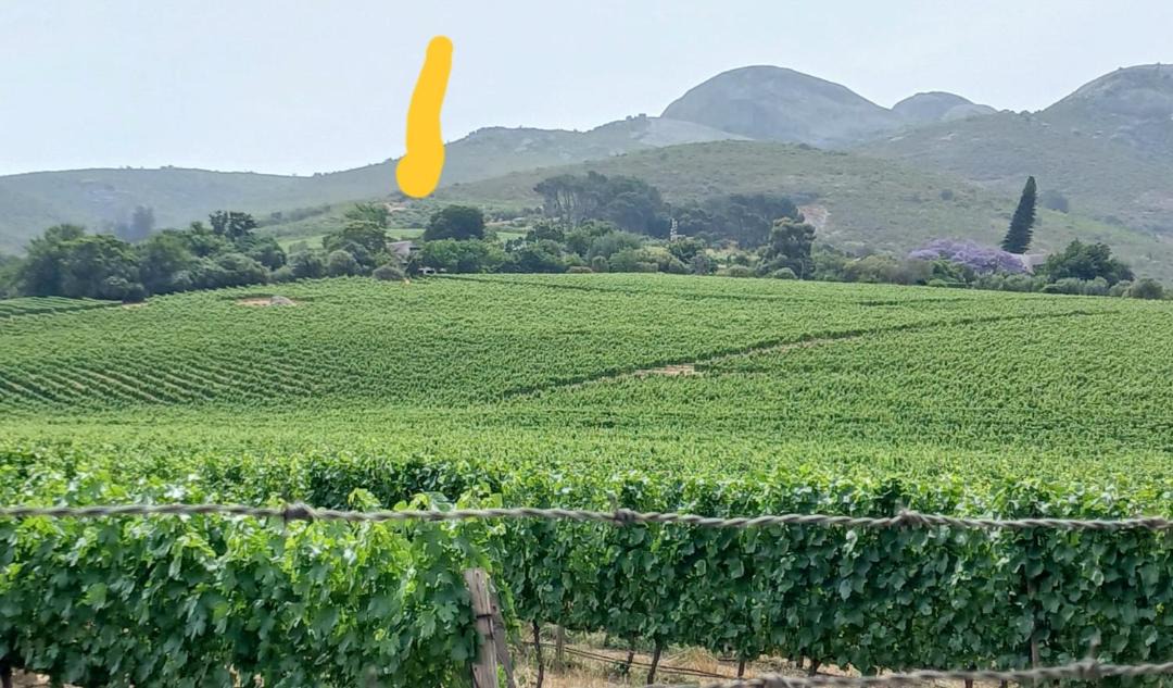 Photo of Others in Paarl