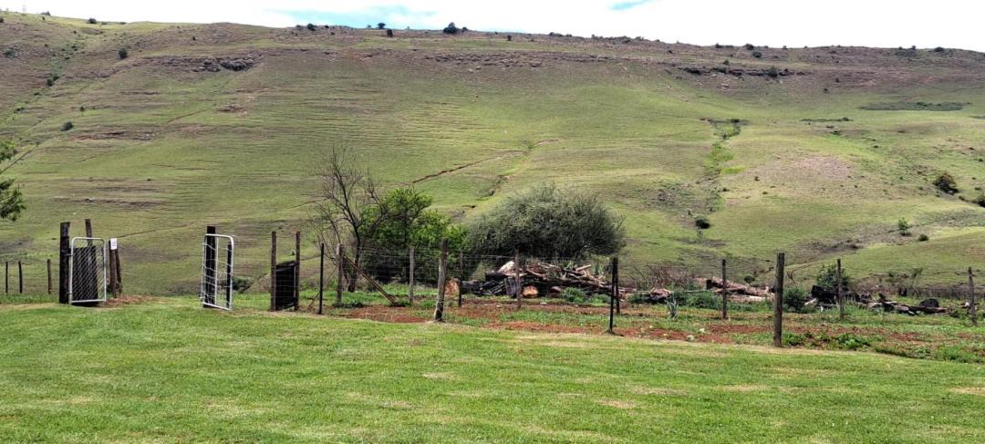 Photo of Others in Underberg