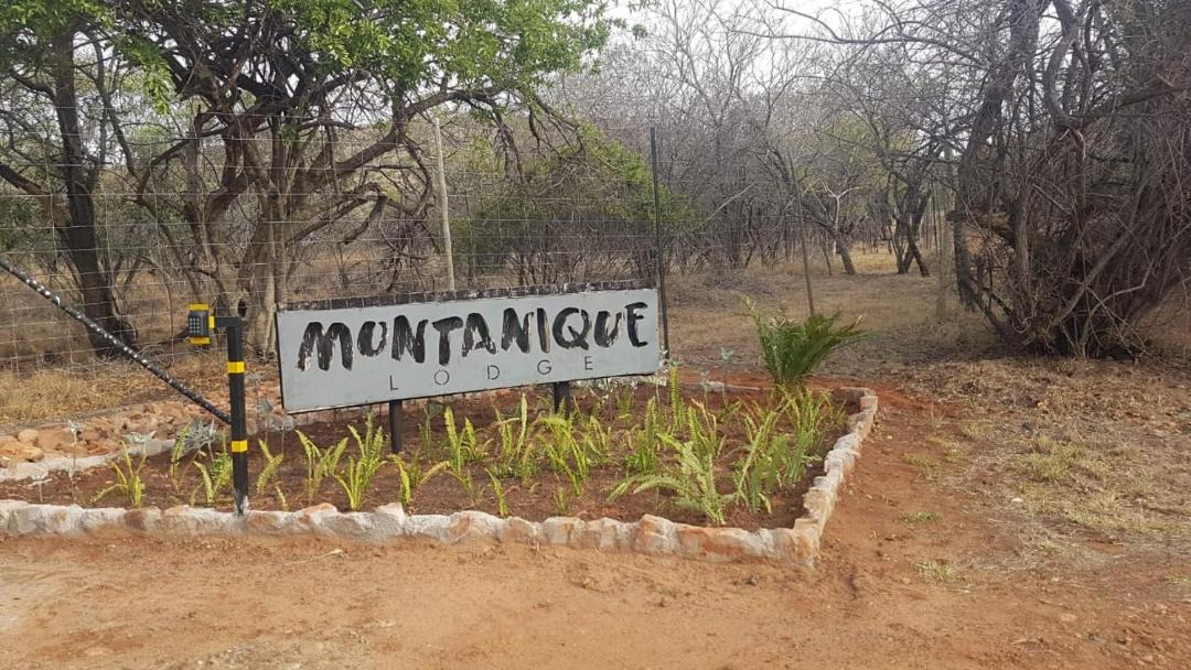 Photo of Others in Mooinooi