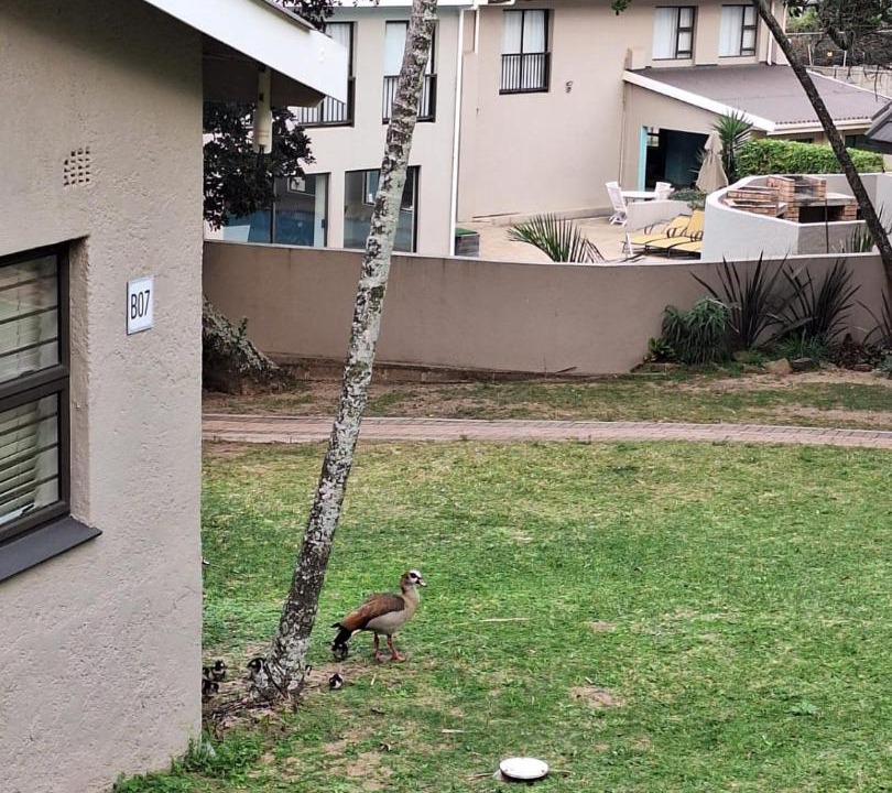 Photo of Others in Melville