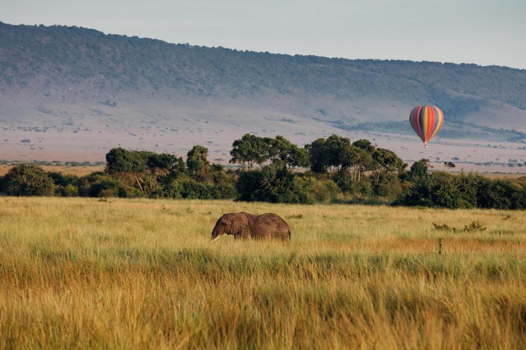 Photo of Others in Hoedspruit