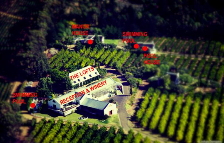 Photo of Others in Cape Winelands