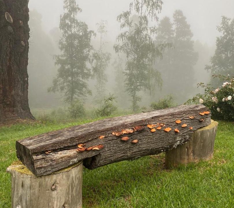 Photo of Others in Hogsback