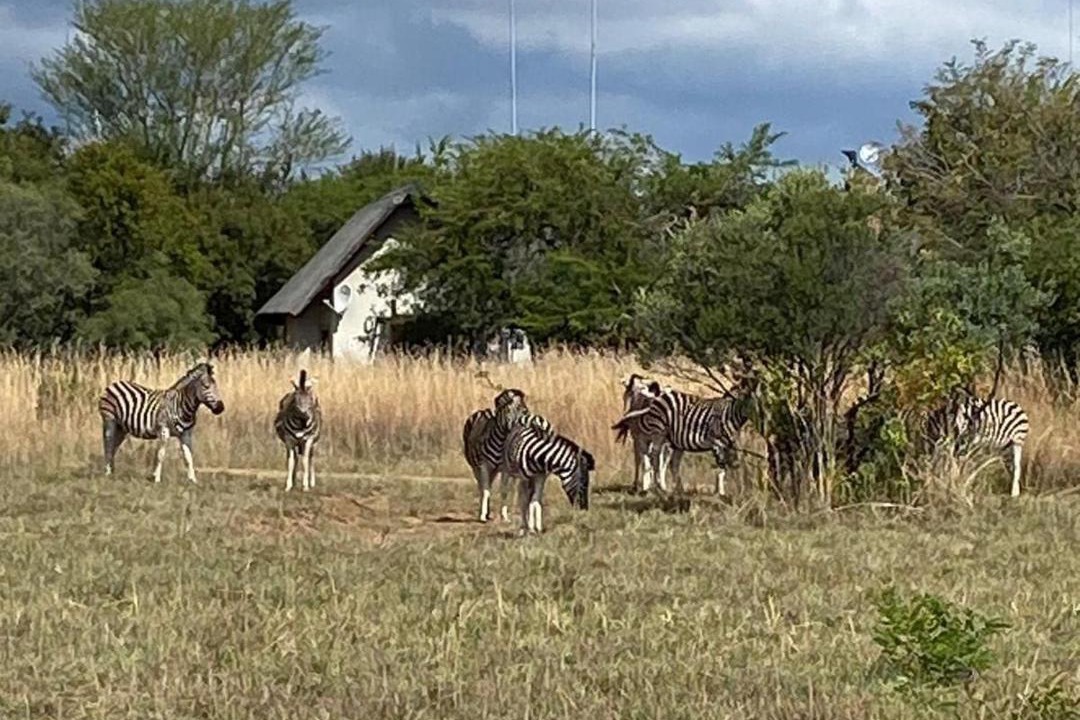 Photo of Others in Bela-Bela