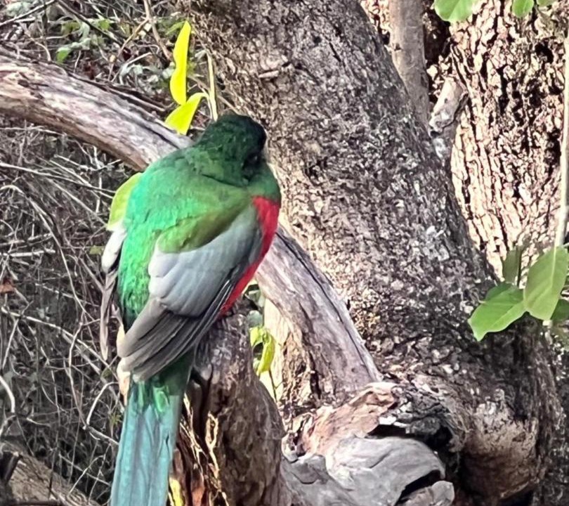 Photo of Others in Nelspruit