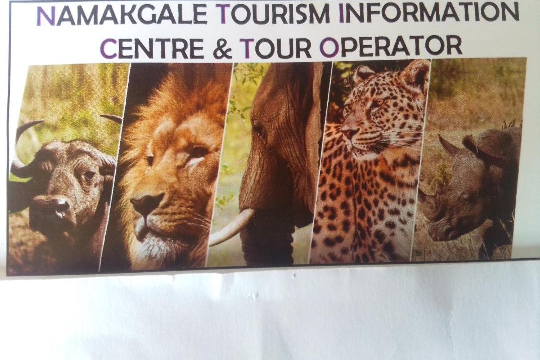 Photo of Others in Phalaborwa