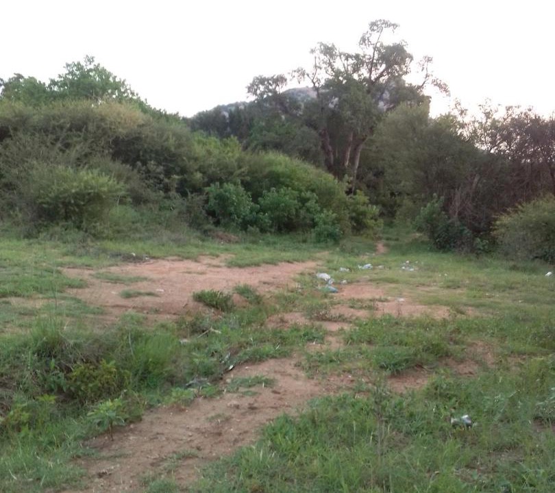 Photo of Others in Phalaborwa