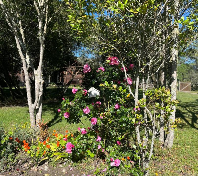 Photo of Outdoor in Harkerville